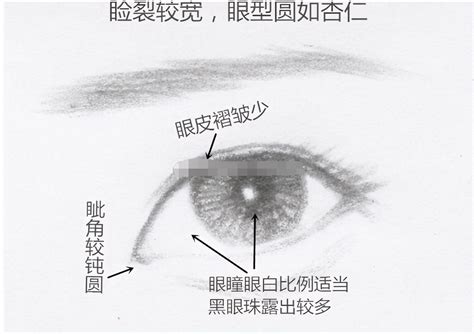 瑞鳳眼女|桃花眼，丹鳳眼，瑞鳳眼，傳統眼型盤點